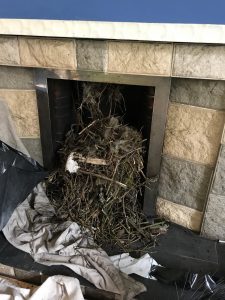 Why You Need A Chimney Cowl Why You Need A Chimney Cowl